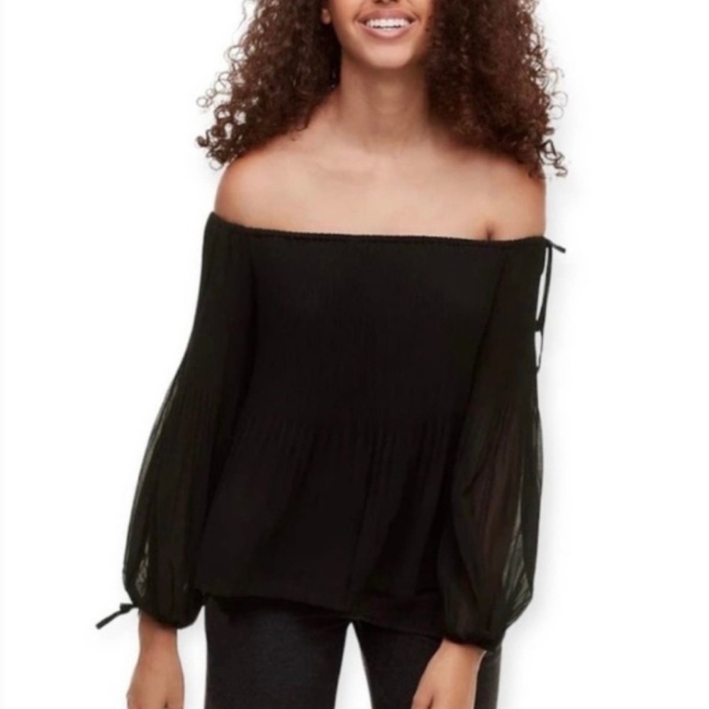 Aritzia Wilfred Talence Off The Shoulder Blouse, Pleated Chiffon Black, XS